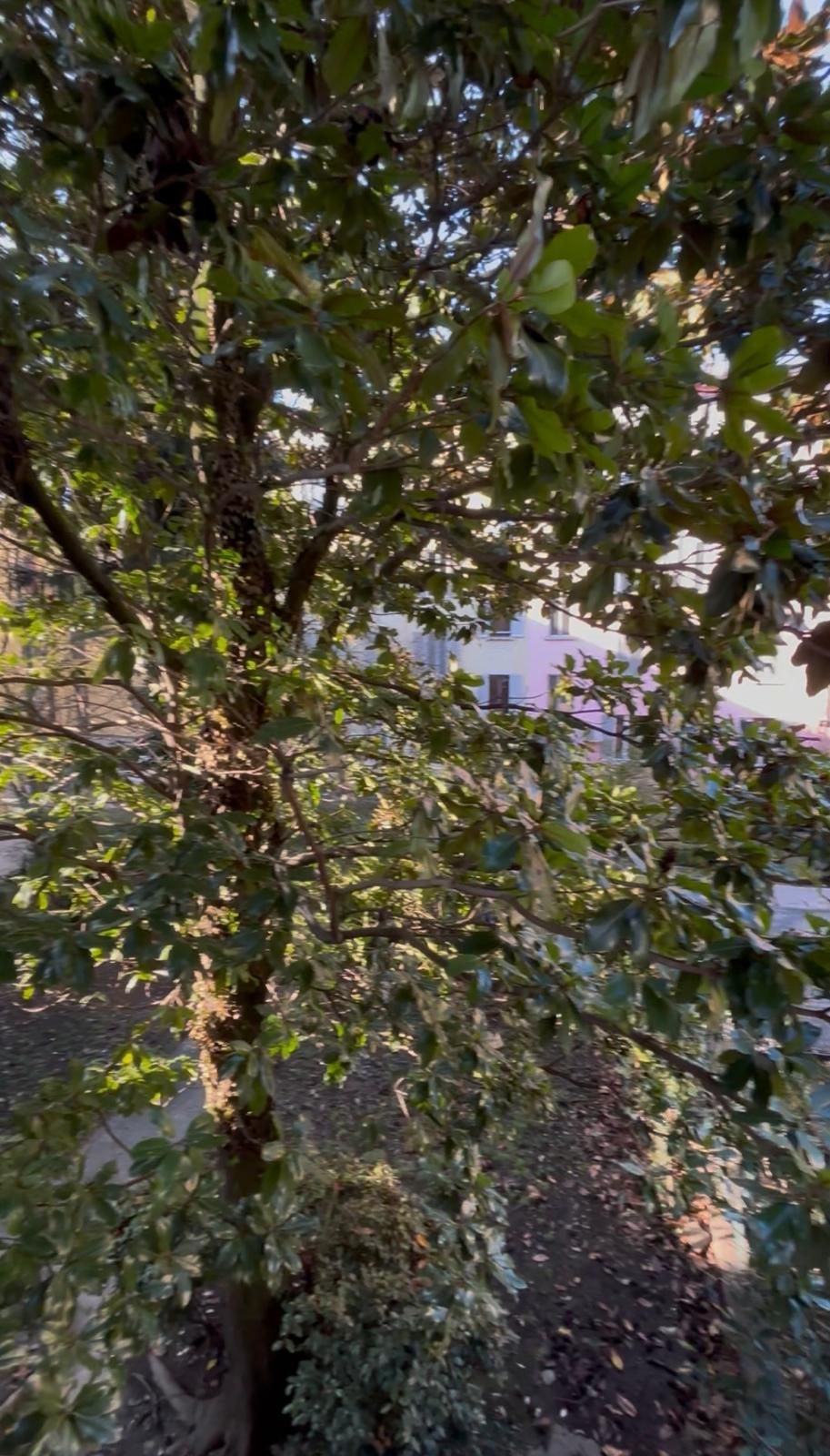 Appartamento del 900 | Parma - Apartments - Parma Centro