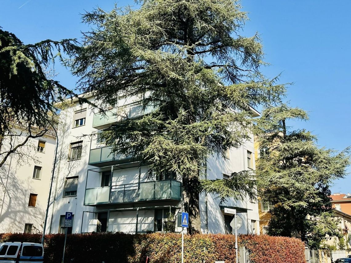 Appartamento Luce di Parma | Parma - Apartments - Parma Centro