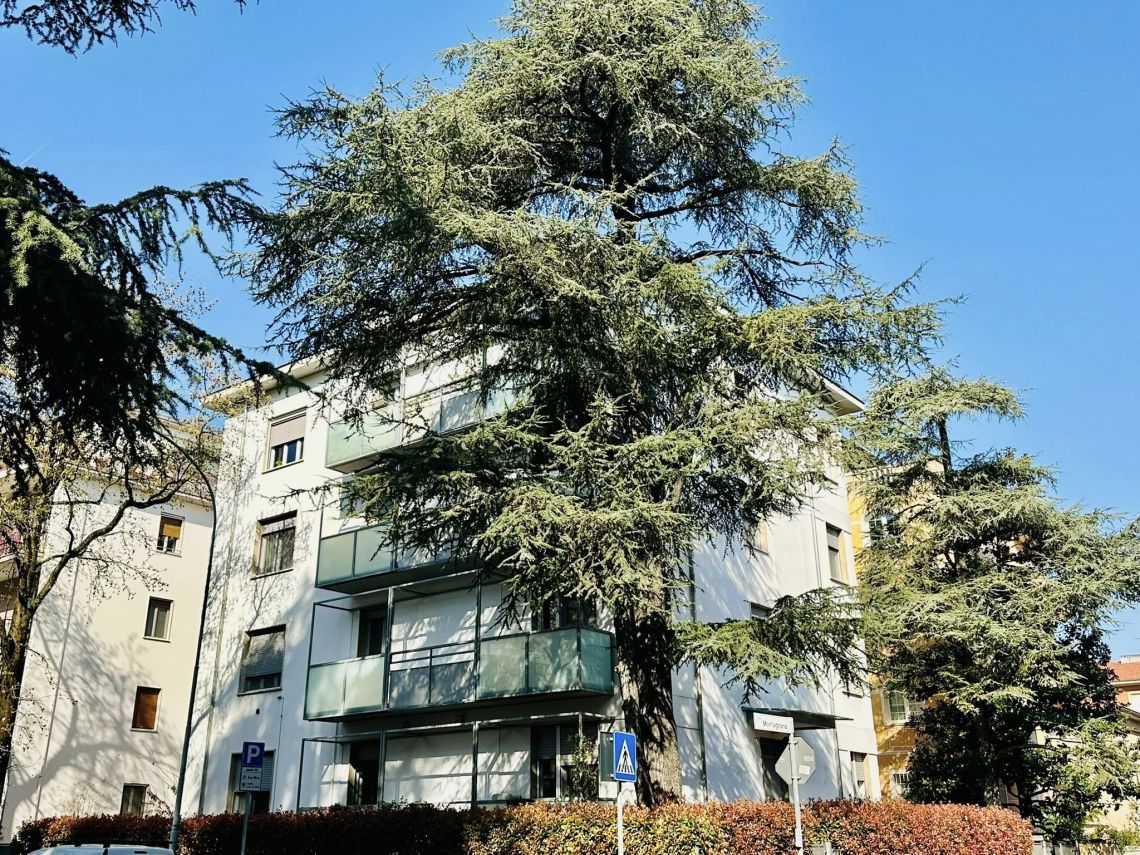 Appartamento Luce di Parma | Parma - Apartments - Parma Centro