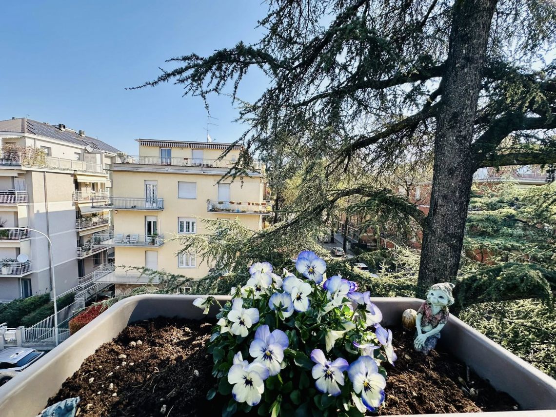 Appartamento Luce di Parma | Parma - Apartments - Parma Centro