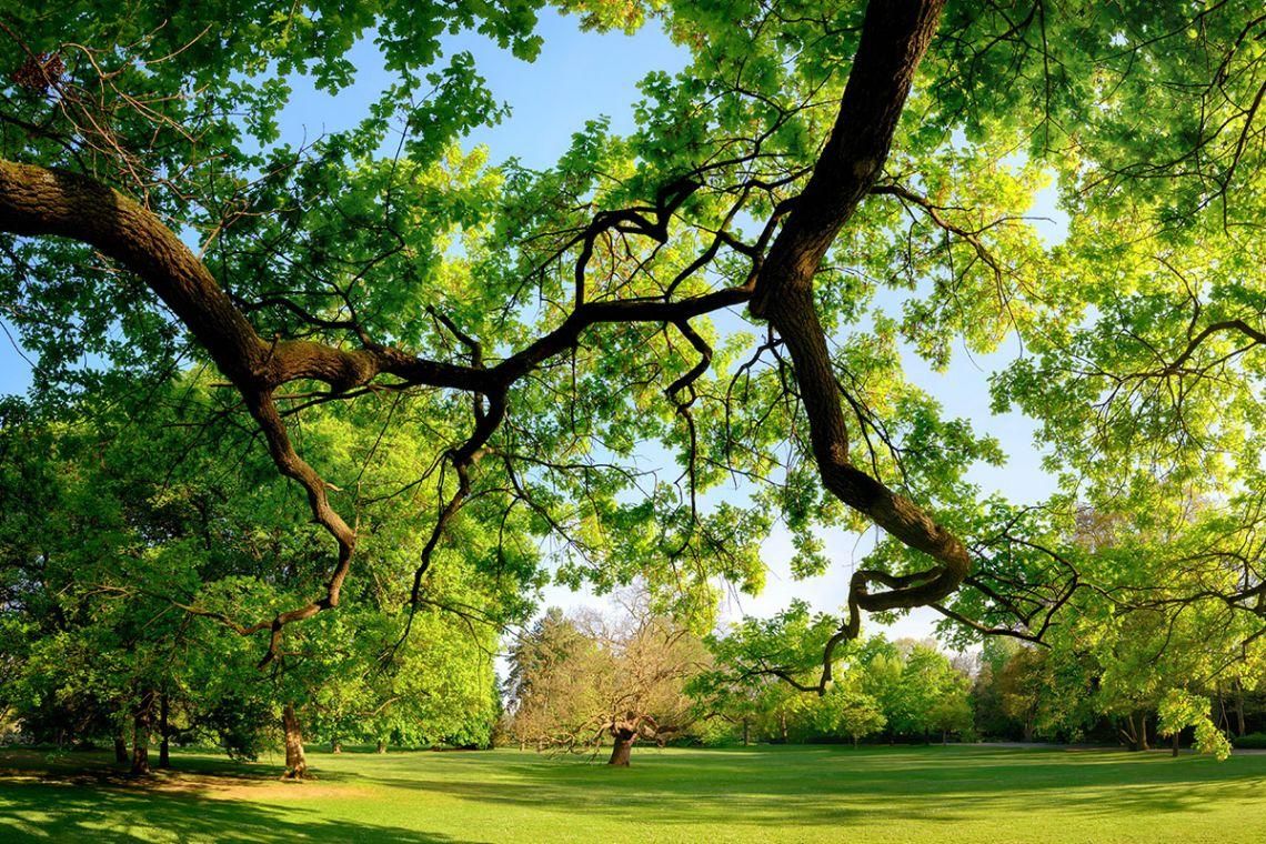 Super Attico Cittadella | Parma - Apartments - Parma Centro