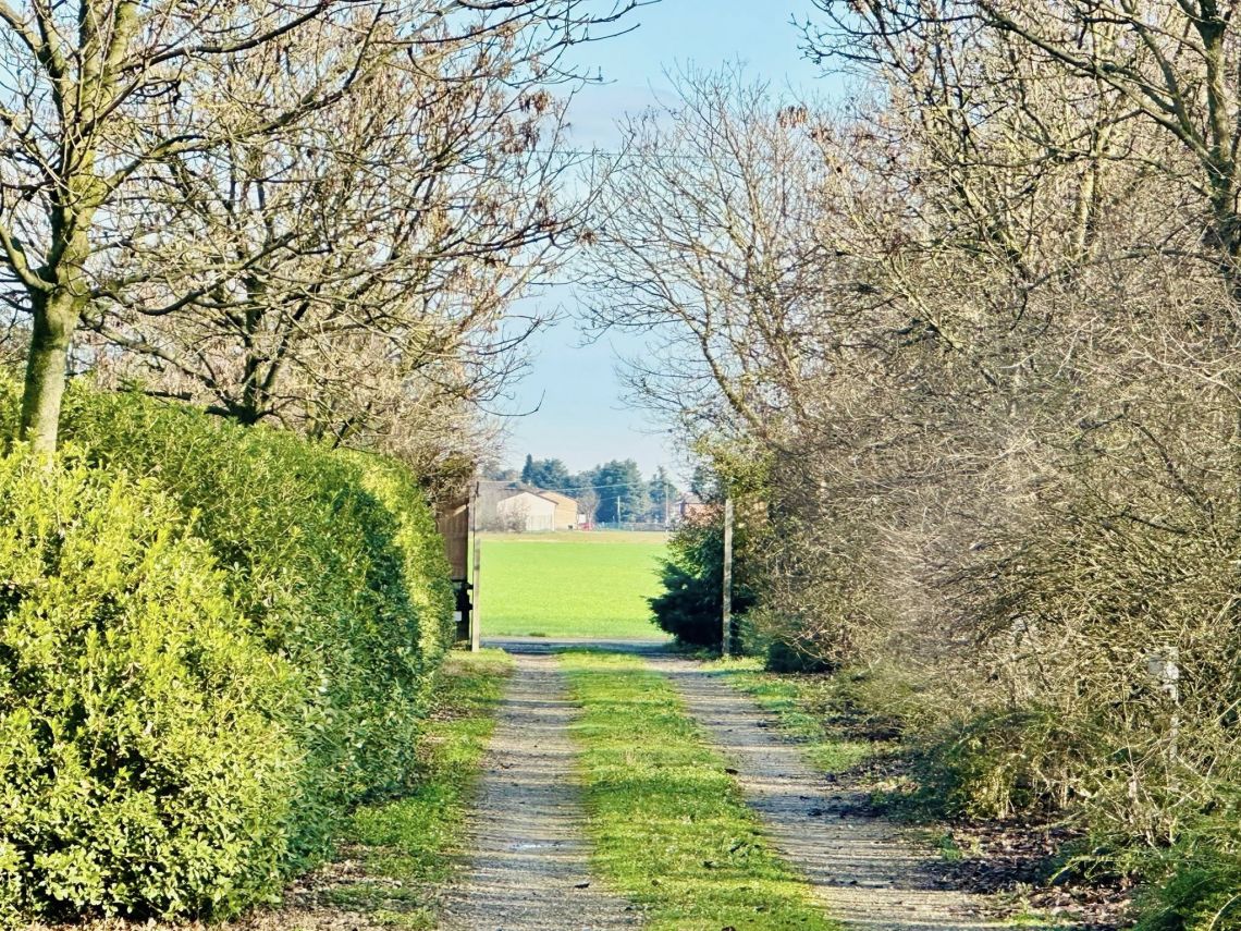 Villa Magnolia | Parma - Apartments - Parma Centro