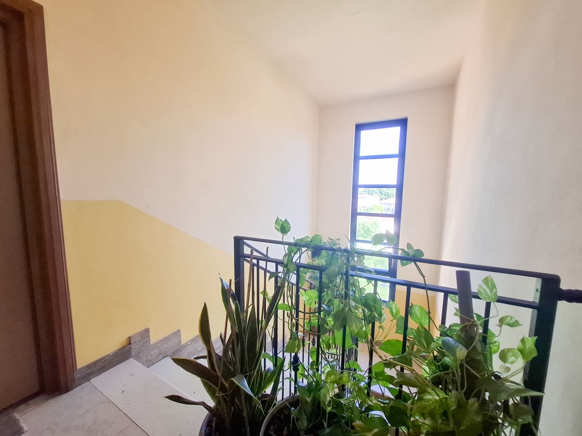 Casa Flora | Parma - Apartments - Parma Centro